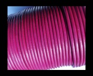 fuchsia2